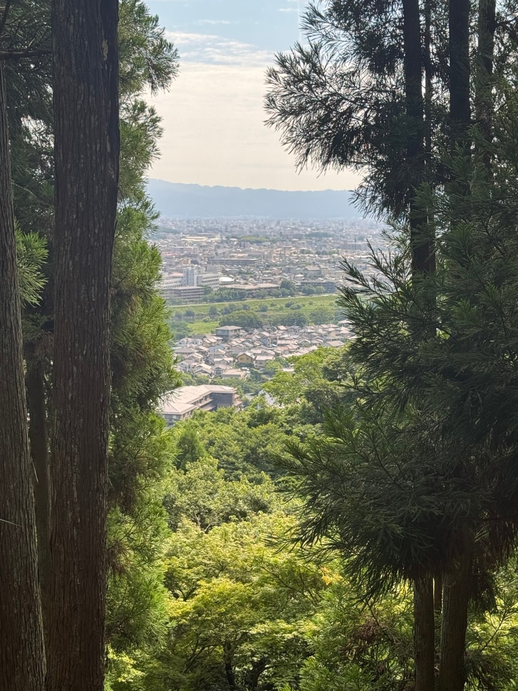 The call of nature // Exploring the streets of&nbsp;Kyōto