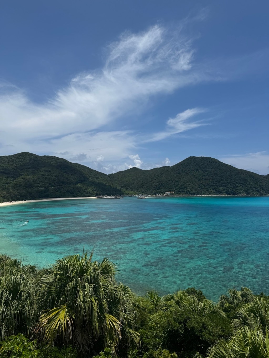 Welcome to Paradise&nbsp;🏝️